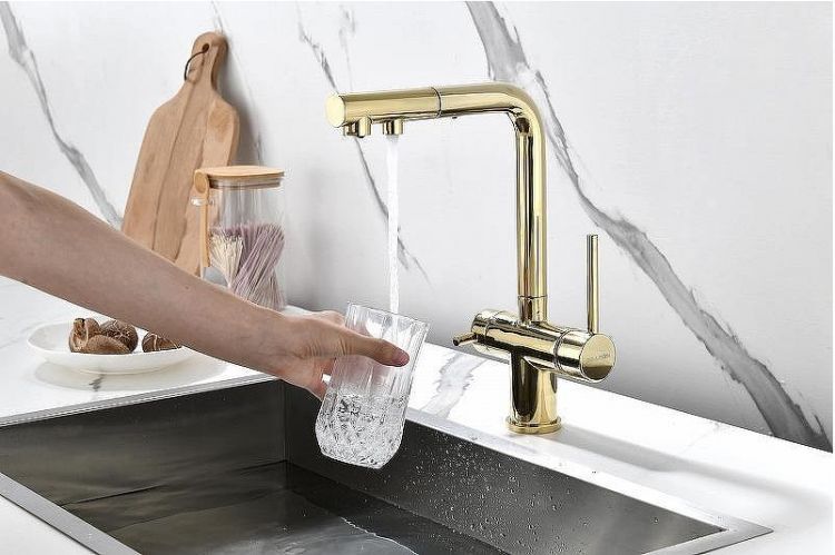 Смеситель для кухни Paulmark Serpentine Se213222-G Золото