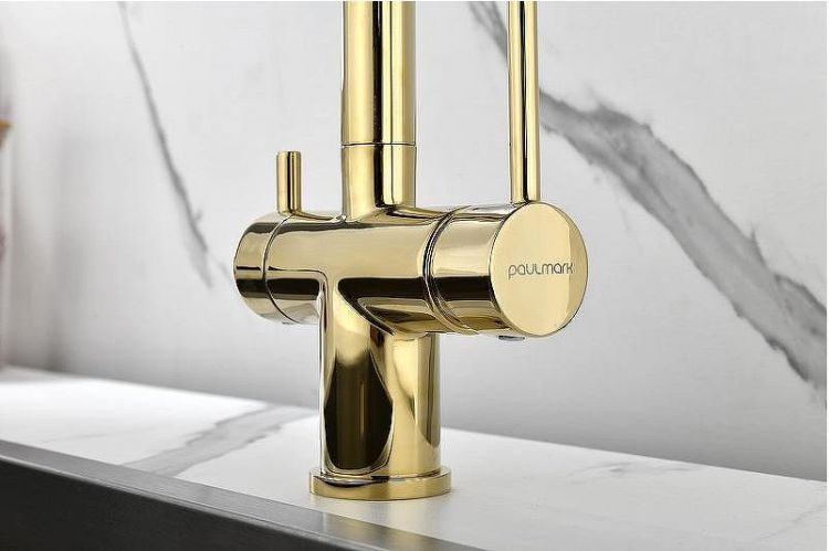 Смеситель для кухни Paulmark Serpentine Se213222-G Золото