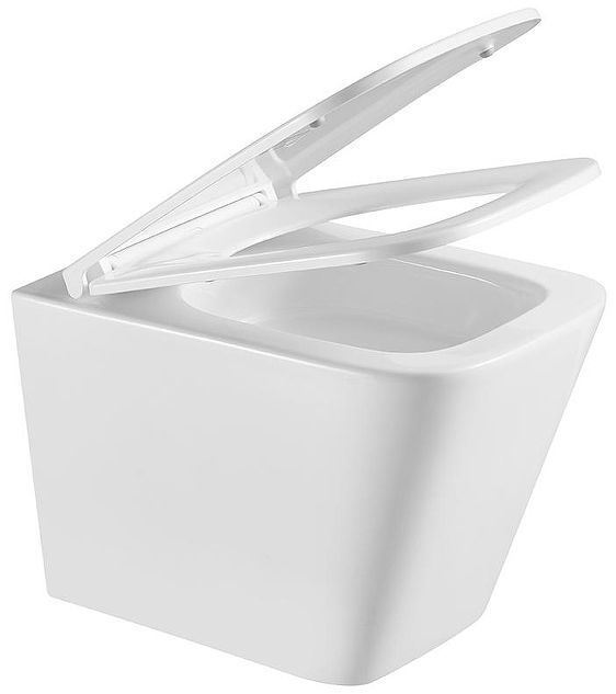 Унитаз Terminus Ватикан 03W49x34W подвесной цвет Белый с сиденьем Микролифт