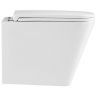 Унитаз Terminus Ватикан 03W49x34W подвесной цвет Белый с сиденьем Микролифт