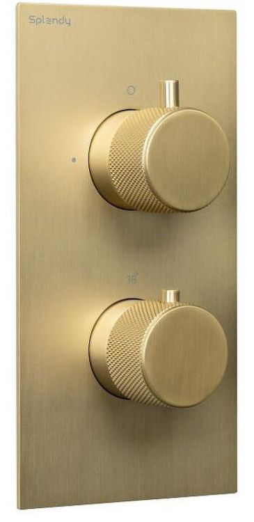 Смеситель для душа Splendy Passion PA204U2T2GM с термостатом цвет Золото матовое Смеситель для душа Splendy Passion PA204U2T2GM с термостатом цвет Золото матовое