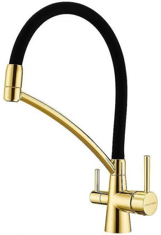 Смеситель для кухни Paulmark Siegen Si213111-G Золото