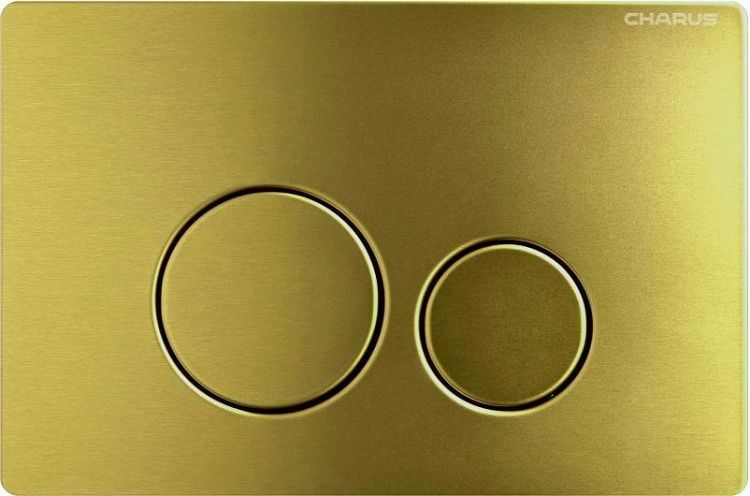Клавиша смыва Charus Robusto FP.330.BG.05 цвет Брашированное золото (Светлое)