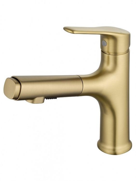 Смеситель для раковины Wonzon & Woghand WW-AE4151-BG цвет Брашированное золото