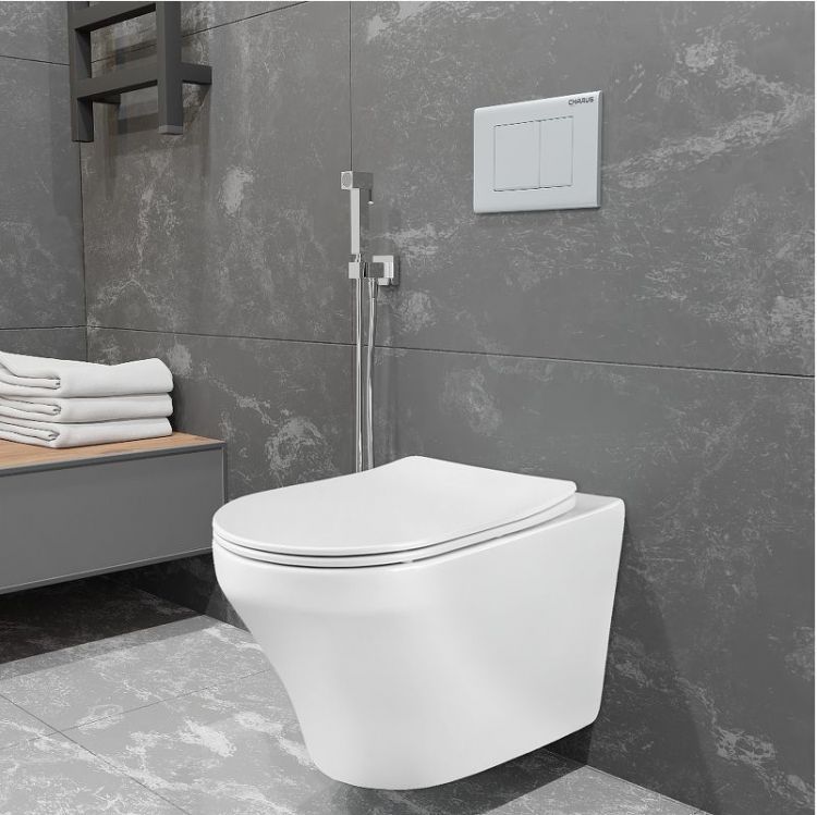 Унитаз Charus Torre Bianca EWC700-124W Franz D Rimless подвесной цвет Белый с сиденьем Микролифт