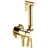 Гигиенический душ со смесителем Webert Sax Evolution SE870303010 Золото