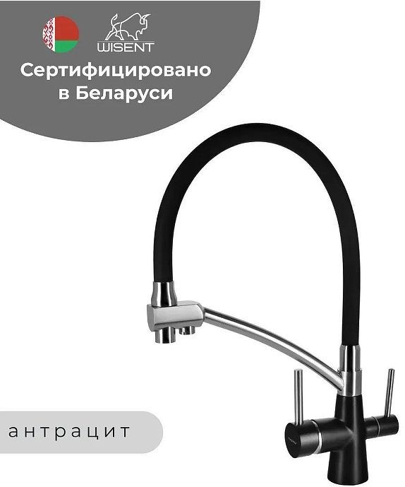Смеситель для кухни Wisent W4855-26-2 цвет Антрацит