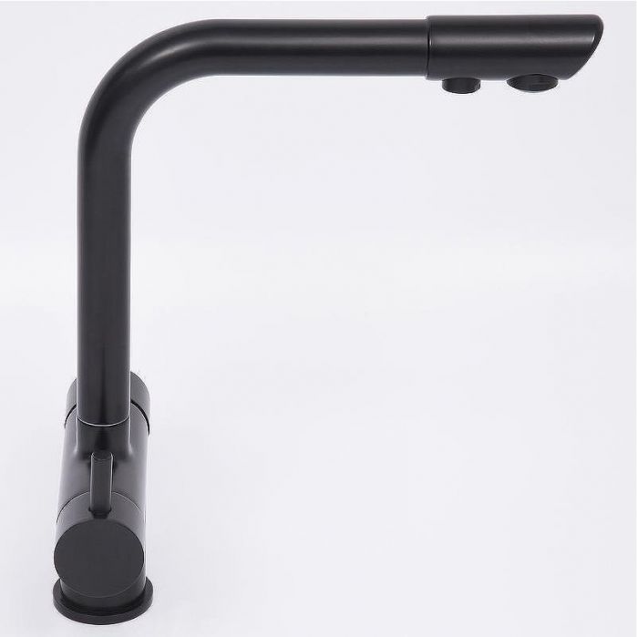 Смеситель для кухни WasserKRAFT A8367 Черный матовый