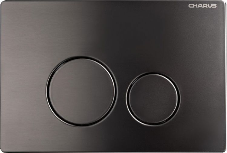 Клавиша смыва Charus Robusto FP.330.GNM.05 цвет Оружейная сталь