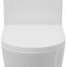 Унитаз компакт Aqueduto Cone AQDSCON10 с бачком и сиденьем Микролифт