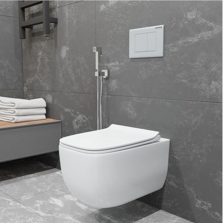 Унитаз Charus Torre Bianca EWC700-126W Pinto Rimless подвесной цвет Белый с сиденьем Микролифт