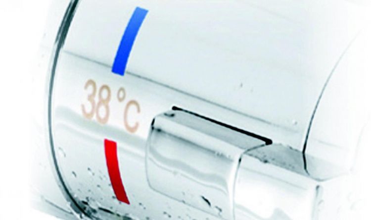 Термостат для ванны с душем Ravak TE  TE 082.00/150 X070046 Термостат для ванны с душем Ravak TE  TE 082.00/150 X070046