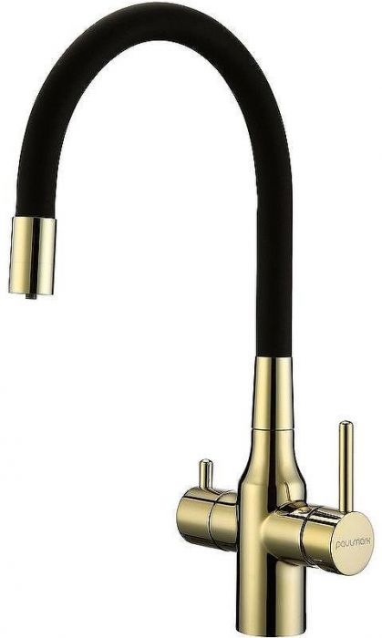Смеситель для кухни Paulmark Salix Sa213419-G Золото