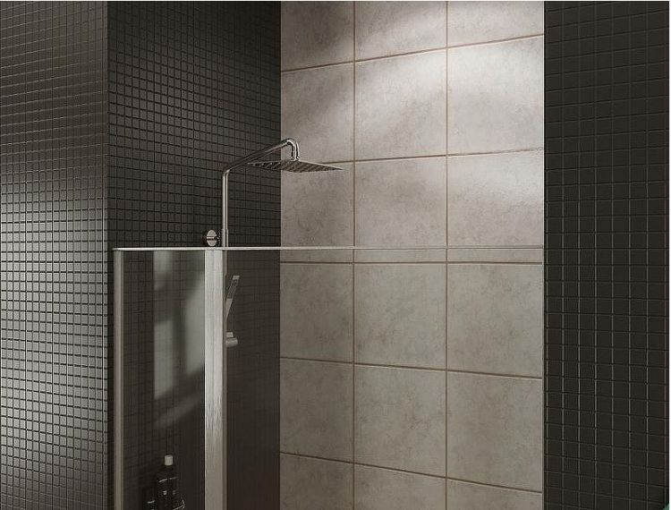 Душевая дверь Allen Brau Priority 100 3.31029.BA профиль Серебро браш стекло прозрачное