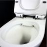 Комплект унитаза с инсталляцией Grohe Rapid SL 39183001 цвет Белый с сиденьем Микролифт и клавишей смыва цвет Хром Комплект унитаза с инсталляцией Grohe Rapid SL 39183001 цвет Белый с сиденьем Микролифт и клавишей смыва цвет Хром