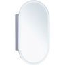 Зеркальный шкаф Aquanet Монте 50 344787 с подсветкой Белый