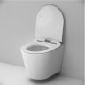 Унитаз AM.PM Sunny C85C1701SC подвесной цвет Белый с сиденьем Микролифт