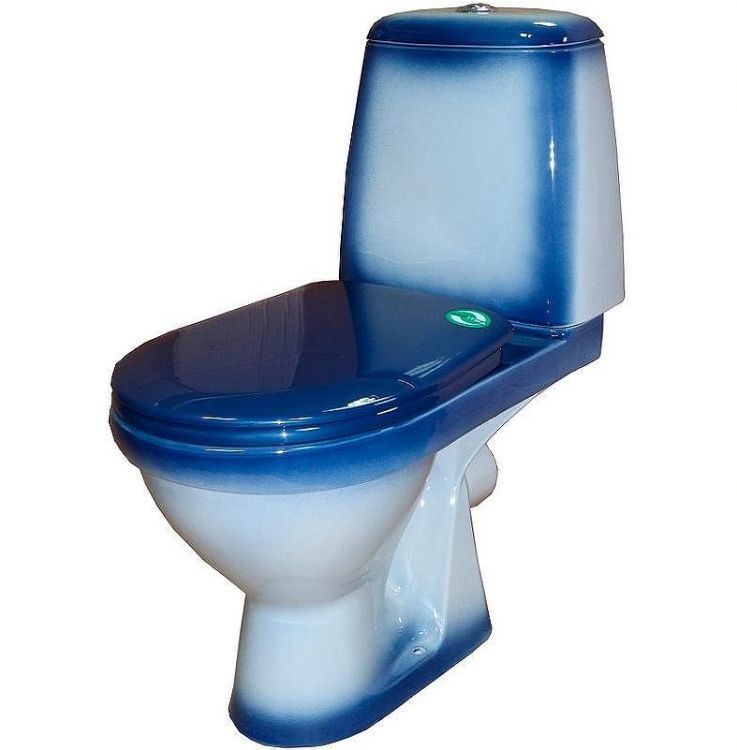 Унитаз компакт Rosa Премьер 4620008191171 Синий декор с бачком и сиденьем