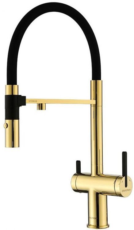 Смеситель для кухни Paulmark Gravity Gr213888-G Золото Смеситель для кухни Paulmark Gravity Gr213888-G Золото