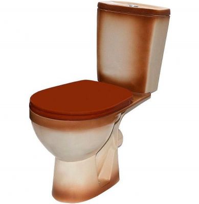 Унитаз компакт Rosa Рио 4640021065747 Коричневый декор с бачком и сиденьем