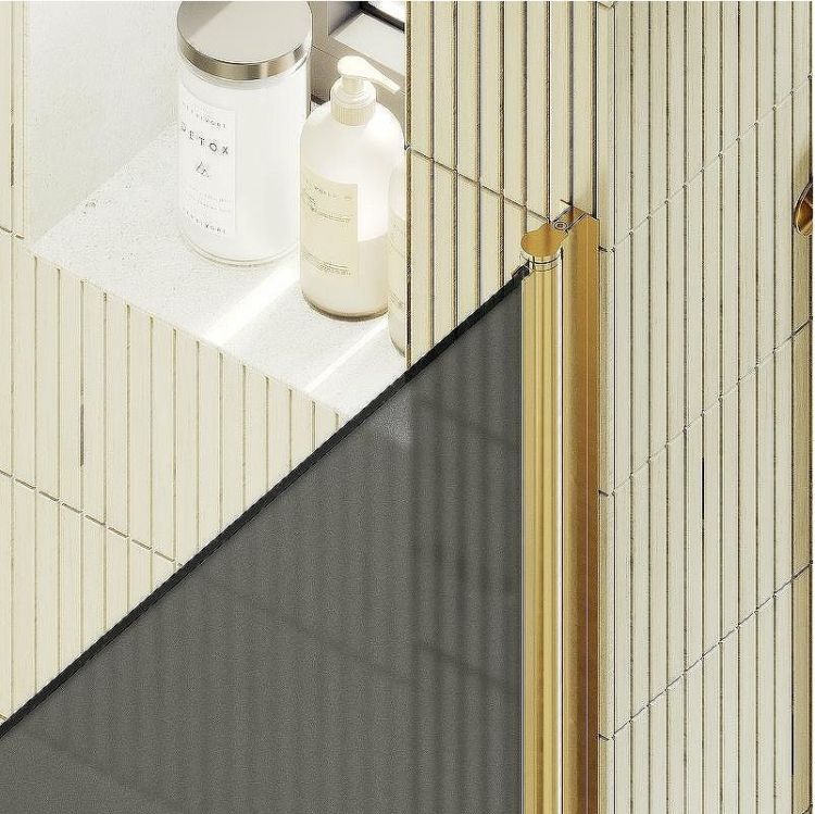 Душевая дверь Maybah Glass MGD-801-3 600x1980 на монопетле Золото стекло графитовое матовое