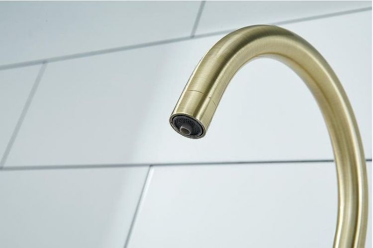 Смеситель для кухни Paulmark Essen Es213211-BR Бронза Смеситель для кухни Paulmark Essen Es213211-BR Бронза