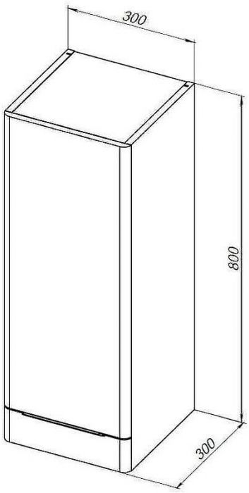 Подвесной шкаф Aquanet Ирис new 30 310155 Белый глянцевый
