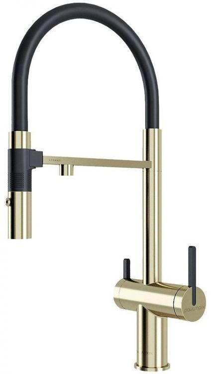 Смеситель для кухни Paulmark Gravity Gr213888-LG Светлое золото Смеситель для кухни Paulmark Gravity Gr213888-LG Светлое золото