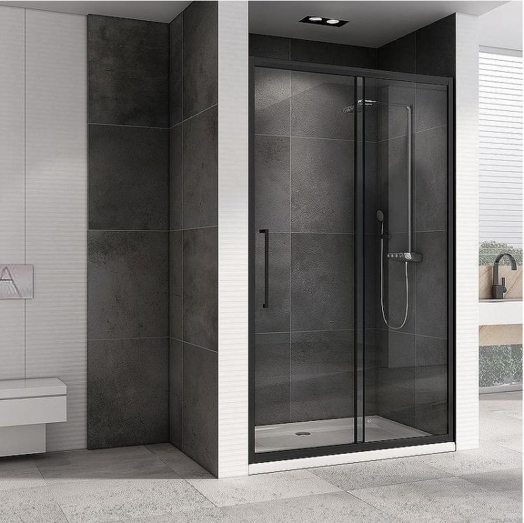 Душевая дверь Abber Schwarzer Diamant 160 AG30160BH профиль Черный стекло прозрачное