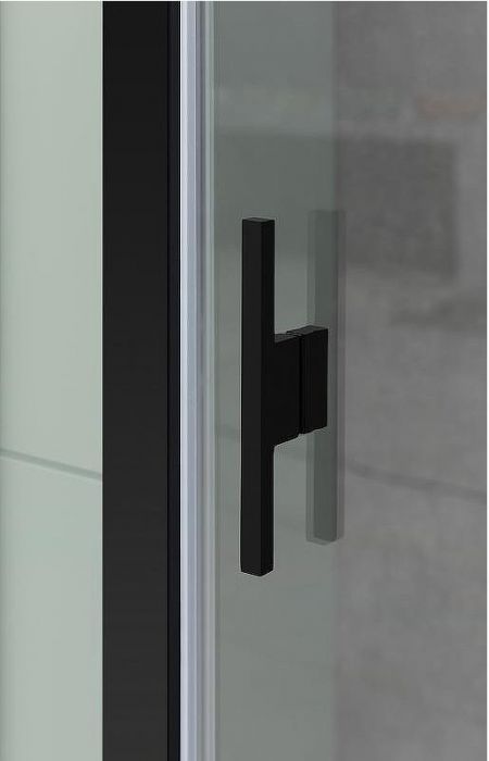 Душевая дверь Allen Brau Priority 100 3.31006.BBA профиль Черный брашированный стекло прозрачное