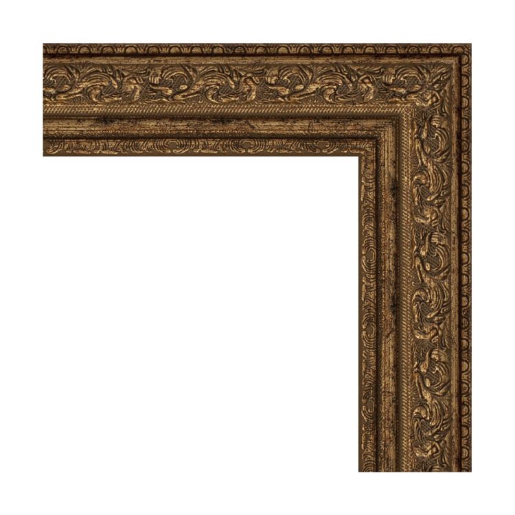 Зеркало EVOFORM DEFENITE BY 3169 64x84 виньетка состаренная бронза 56 мм в багетной раме Зеркало EVOFORM DEFENITE BY 3169 64x84 виньетка состаренная бронза 56 мм в багетной раме