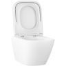 Унитаз Wellsee Pure BY Wellsee 182602001 подвесной цвет Белый глянцевый с сиденьем Микролифт