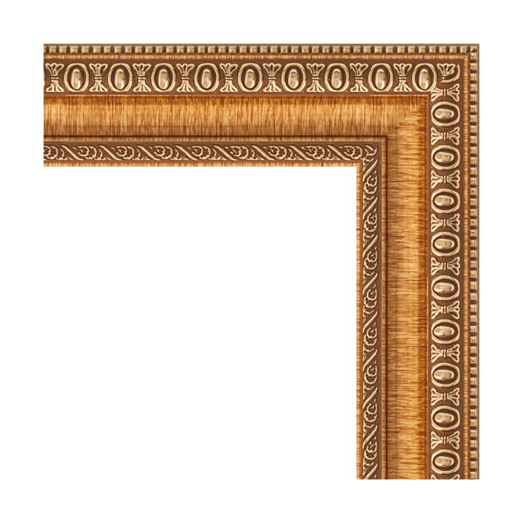 Зеркало EVOFORM  DEFENITE BY 3170 65x85 золотые бусы на бронзе 60 мм в багетной раме