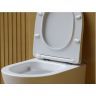Подвесной унитаз CERAMICANOVA Balearica Rimless (цвет Белый Матовый) CN6000MW