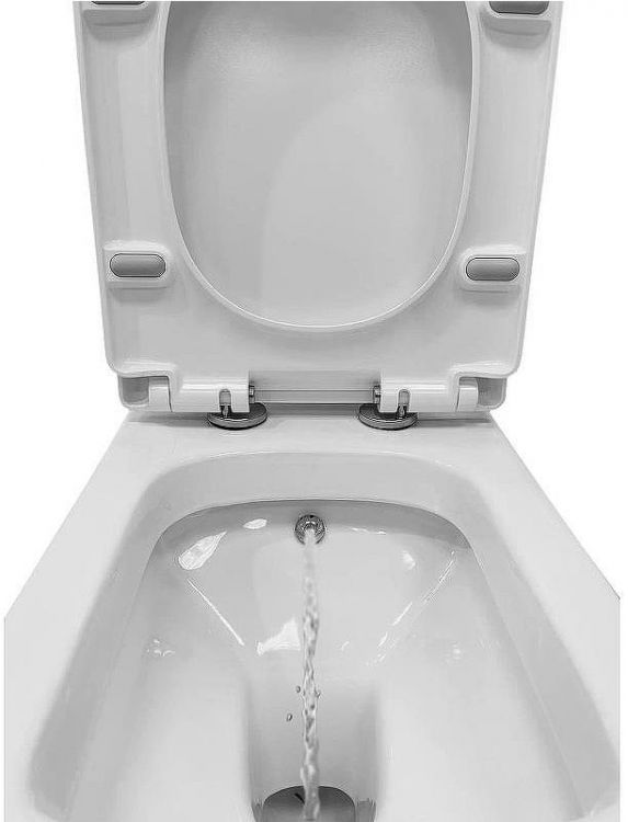 Унитаз биде Laguraty 2350AC с бачком и сиденьем Микролифт