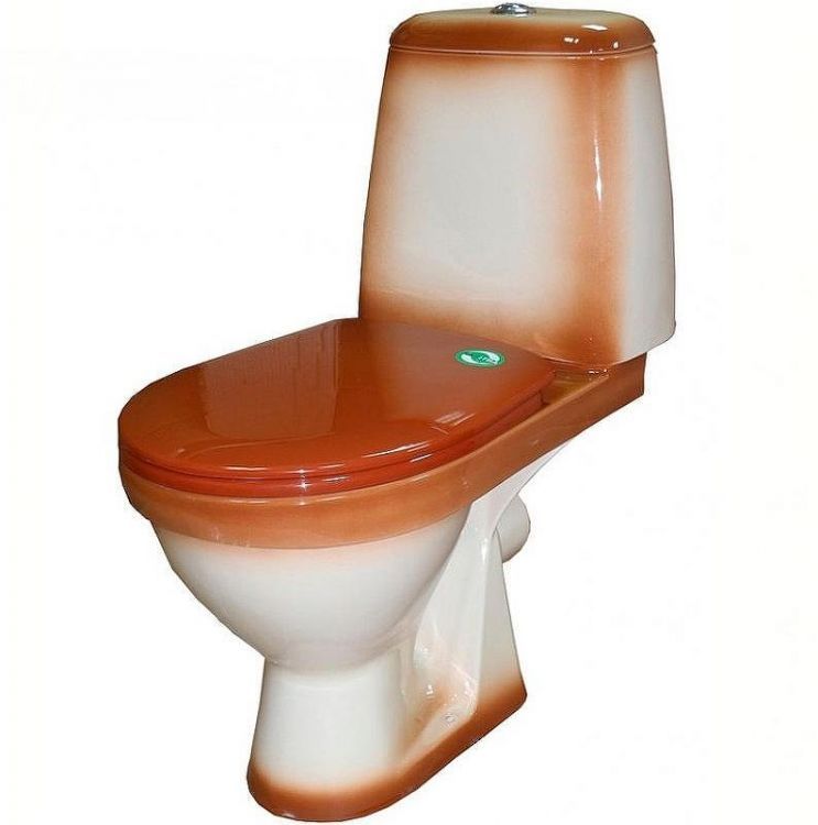 Унитаз компакт Rosa Премьер 4620008191164 Коричневый декор с бачком и сиденьем