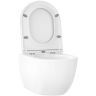 Унитаз Wellsee Chalice Perfection 182607001 подвесной цвет Белый глянцевый с сиденьем Микролифт Унитаз Wellsee Chalice Perfection 182607001 подвесной цвет Белый глянцевый с сиденьем Микролифт
