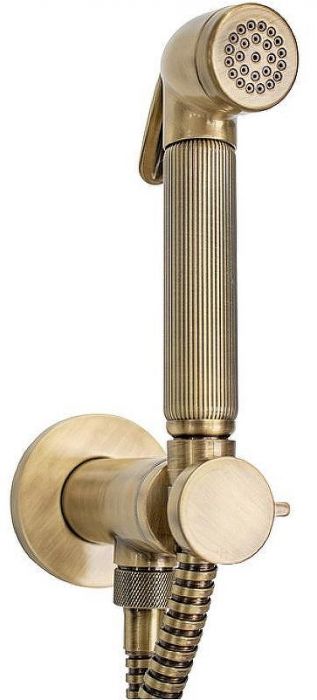 Гигиенический душ со смесителем Bossini Nikita E37008B.022 Бронза