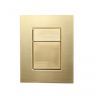 Клавиша смыва Wonzon & Woghand WW-IB256-BG цвет Брашированное золото