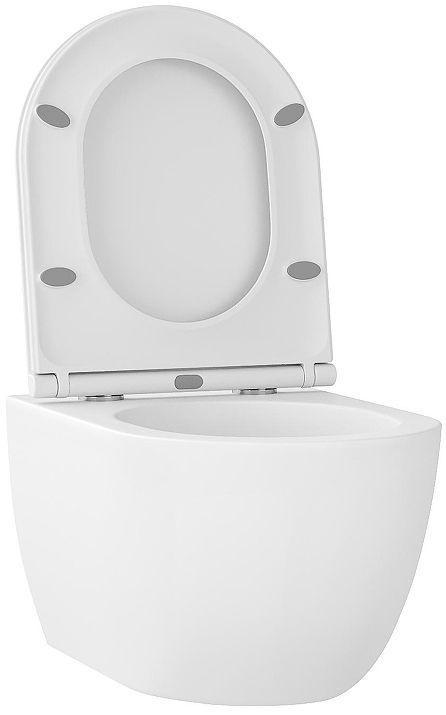 Унитаз Wellsee Chalice Perfection 182608001 подвесной цвет Белый матовый с сиденьем Микролифт