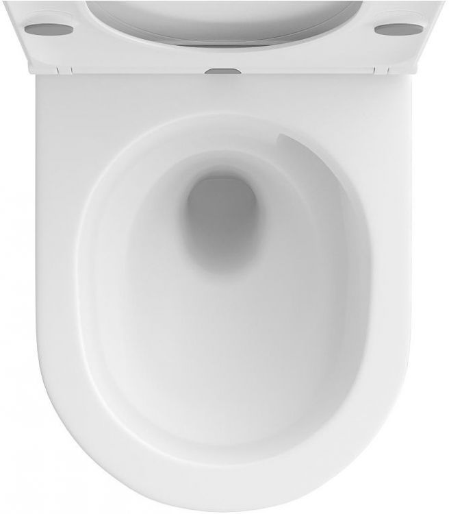 Унитаз Wellsee Chalice Perfection 182608001 подвесной цвет Белый матовый с сиденьем Микролифт