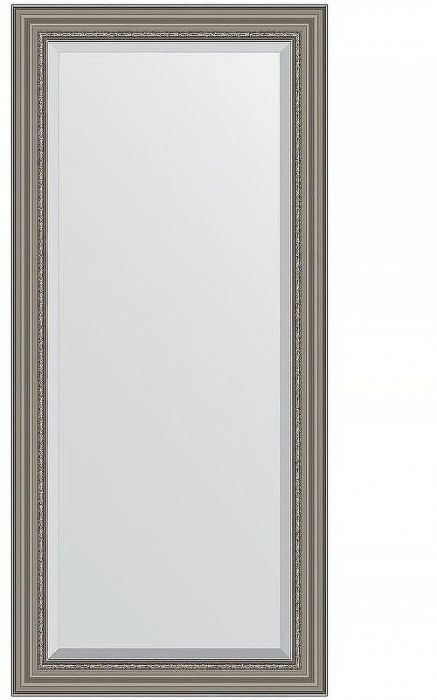 Зеркало Evoform Exclusive 166х76 BY 1307 с фацетом в багетной раме - Римское серебро 88