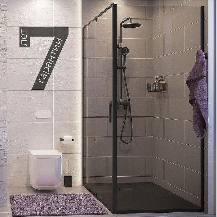 Душевой уголок WasserKRAFT Elbe 100x80 74P17 профиль Черный матовый стекло прозрачное