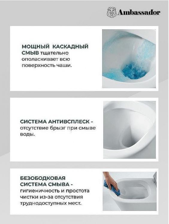 Унитаз компакт Ambassador Ritz 237K19001RS с бачком и сиденьем Микролифт