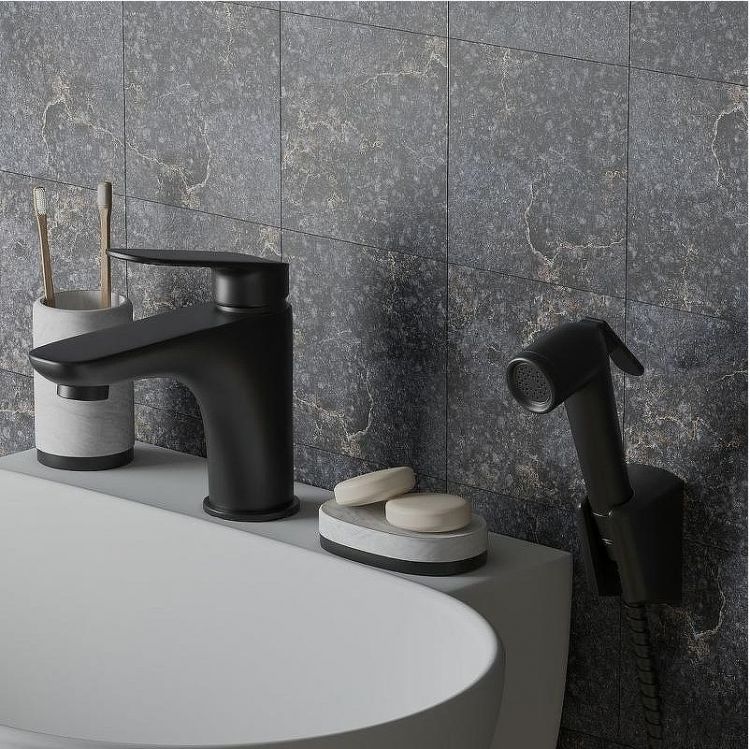 Смеситель для раковины Paini Laguna LAYO205/574 с гигиеническим душем Черный матовый Смеситель для раковины Paini Laguna LAYO205/574 с гигиеническим душем Черный матовый