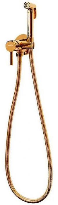 Гигиенический душ со смесителем Hansberge Nordic H3099GO Золото