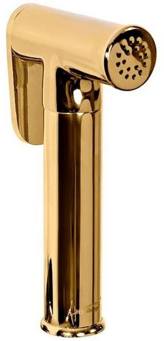 Гигиенический душ со смесителем Hansberge Nordic H3099GO Золото