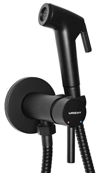 Гигиенический душ со смесителем Wisent WG5398B-2 цвет Черный