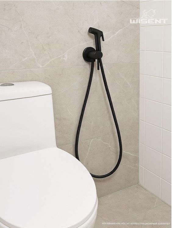 Гигиенический душ со смесителем Wisent WG5398B-2 цвет Черный