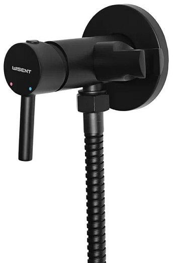 Гигиенический душ со смесителем Wisent WG5398B-2 цвет Черный